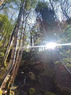 Foto von Sonja Herdeg entlang der Tour