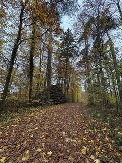 Fotó a ManCam honlapról a túra során