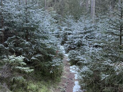 Foto von Norbert Herbig entlang der Tour