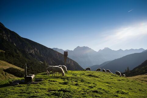 Zirl, Solsteinhaus, Erlsattel_Tirol Werbung_Wiedenhofer Martina_Zirl.jpg