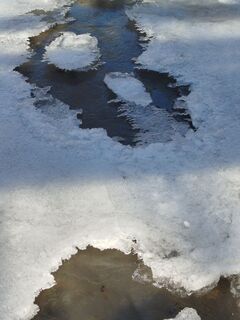 Fotografija s spletne strani Alois Temper na poti