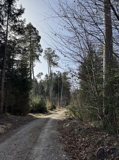 Foto von Denise Miller entlang der Tour