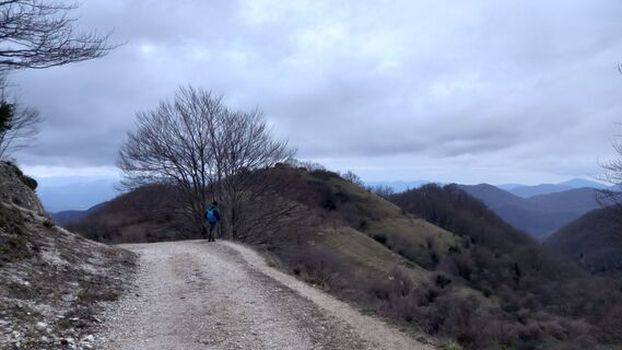 Photo de andrea merlo le long du parcours
