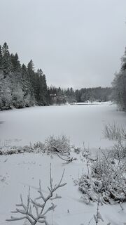 Foto von FriluftslivGoat entlang der Tour