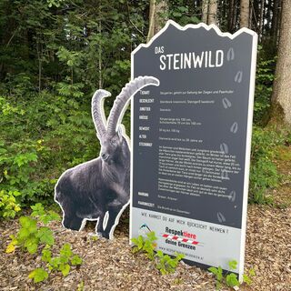 Steinbock