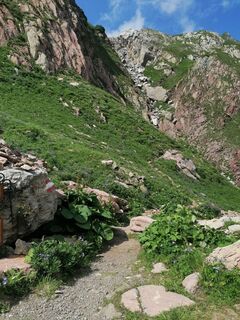 Photo de Dagmar Hofer le long du parcours