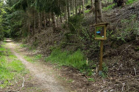 Wanderweg mit Infotafel