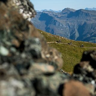 Weisshorn Trail