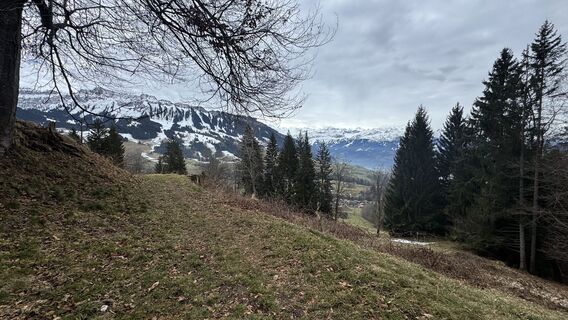 Zdjęcie z peter_oe wzdłuż trasy