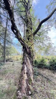 Foto von Richard Vlcek entlang der Tour