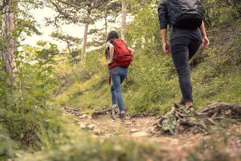 Wandern im Wienerwald