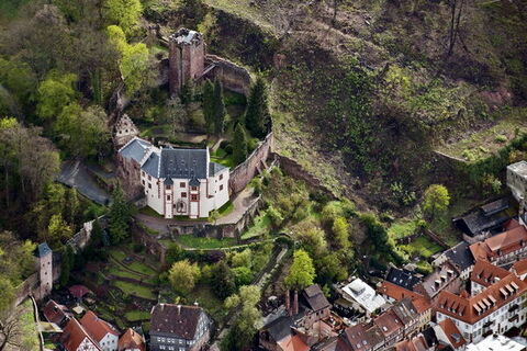 Mildenburg von oben