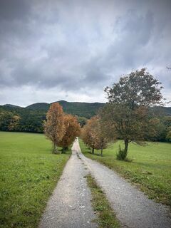 Photo de Kellner Heidi le long du parcours