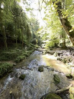 Photo de GabrielSR76 le long du parcours