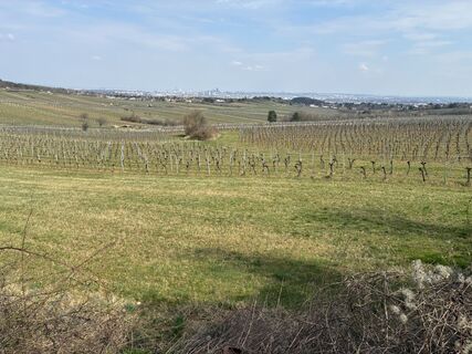 Fotografie z Martin1967 na trase