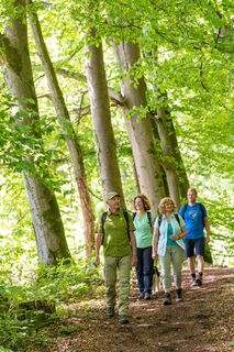 Wanderer im Buchenwald