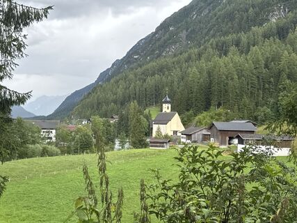 Foto von Grizzli entlang der Tour