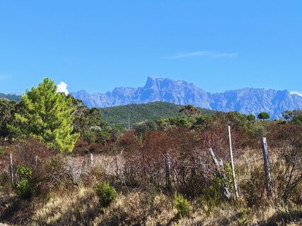 Fotografija s spletne strani Lodovica Vecchi na poti