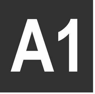 A1