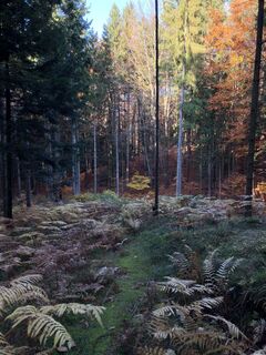 Fotó a Josef Pauli 1 honlapról a túra során