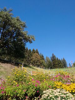 Wurmfarm Prime Insects