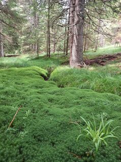 Fotografia z Kristina Kores na trase