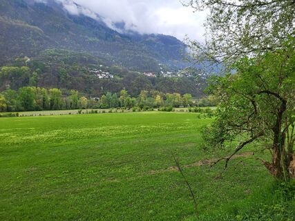 Fotografie z yolanda beck na trase