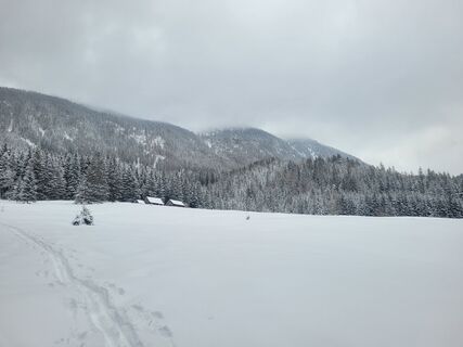 Foto från schenkeli under resans gång