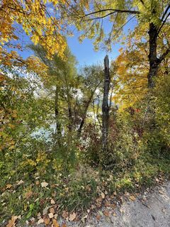 Foto da Janita Martindale lungo il tour