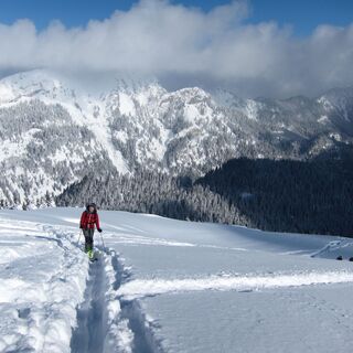 Aufstieg zur Scheinbergspitze