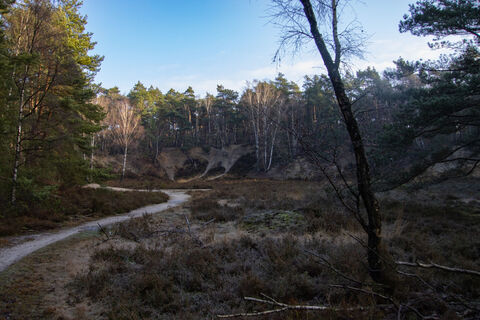 Wanderweg durch die Heide