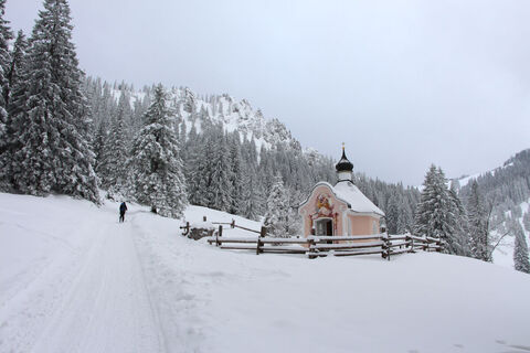 Skitour Pürschlinghaus