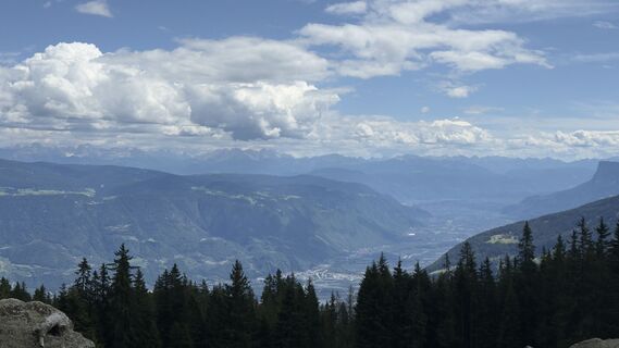 Fotografia z Daniel Härtel na trase