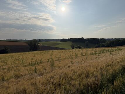 Foto von Schaali entlang der Tour