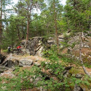 Unterwegs auf dem Teewaldji-Trail