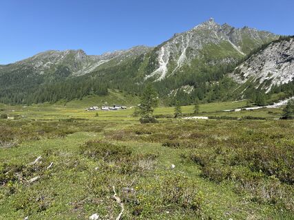 Fotografia z Grizzli na trase