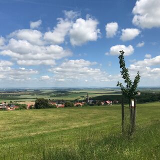 Kleinfahner - Am Loh
