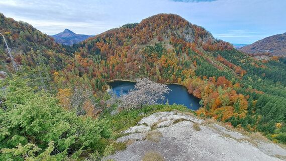 Fotografia z Gerhard Faugel na trase
