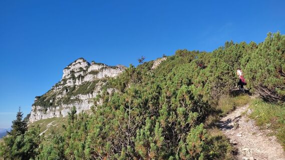 Foto från WilliSt under resans gång