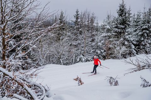 Langläuferin im Winterwald in Willingen