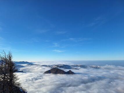 Photo de Gerhard Riedl 2 le long du parcours