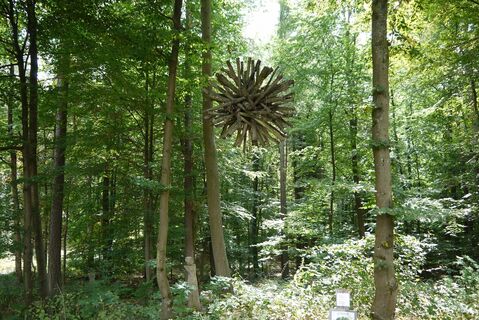 LandArt Waldobjekt "Blickfang"