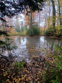 Foto von Daniel Kremiec entlang der Tour