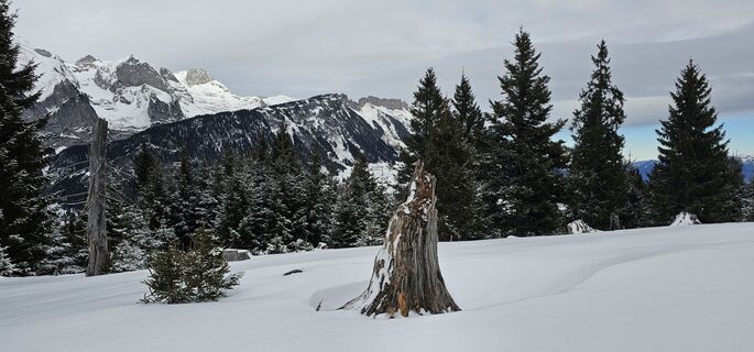Foto von Wanderratte entlang der Tour