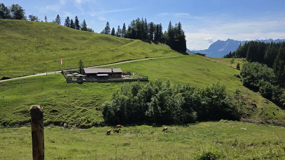 Fotografia z Steffi H. 1 na trase