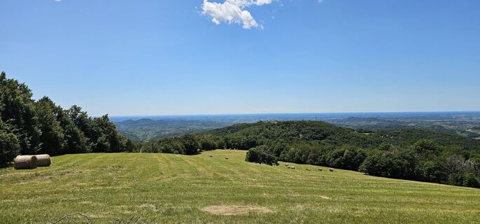 Fotografia z Nico na trase