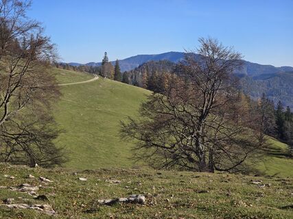 Fotó a TwilightTea honlapról a túra során