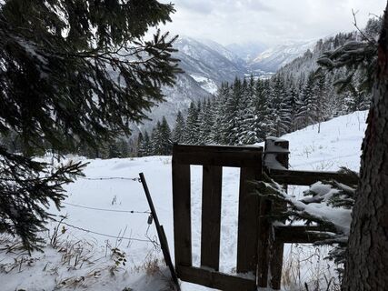 Foto von Natur_erleben_dg entlang der Tour