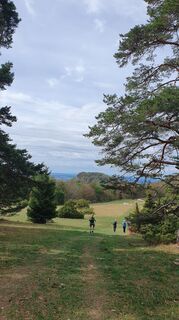 Photo de Anne Wildbrett le long du parcours