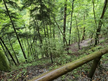 Photo de Hans ten Brink le long du parcours